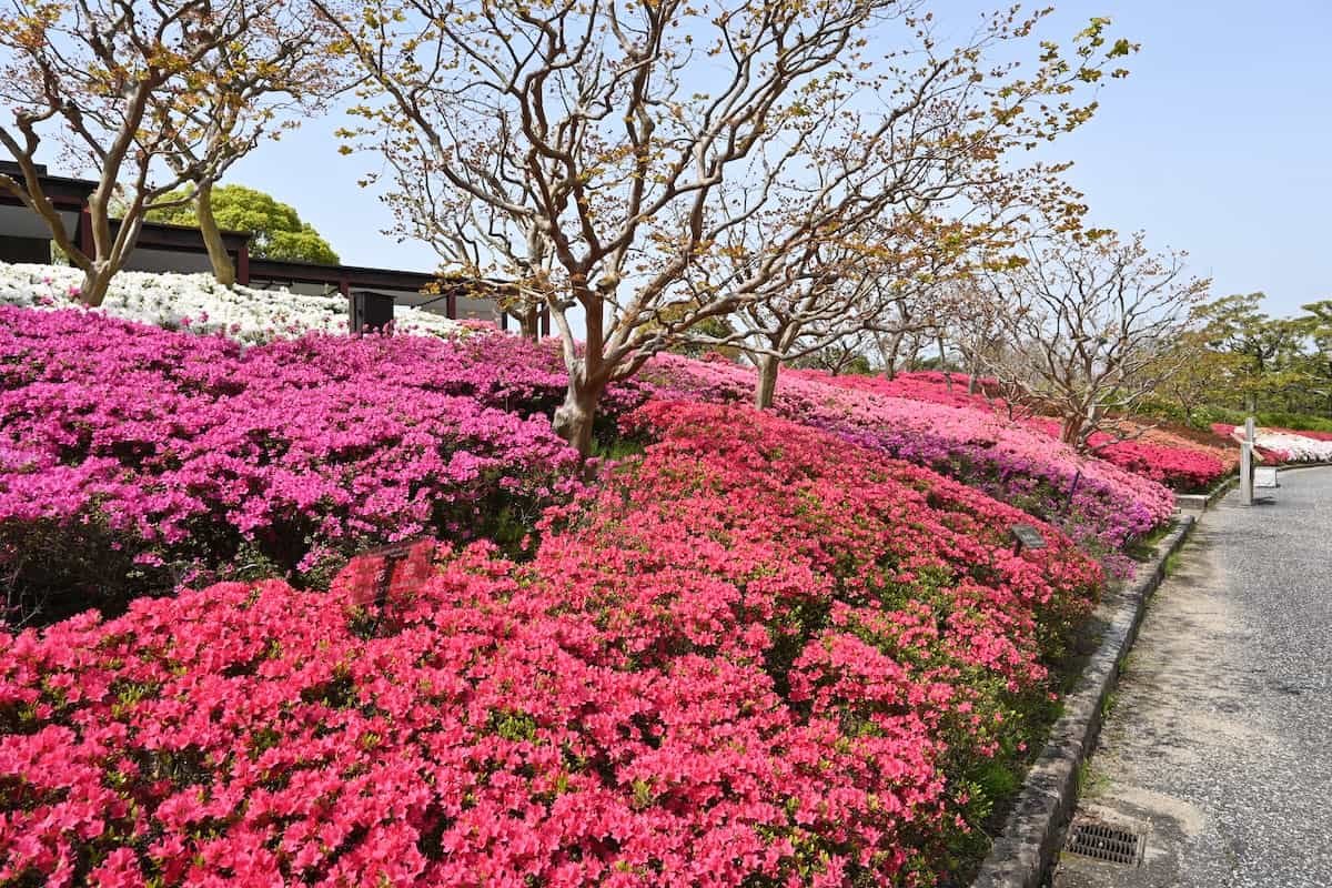 🏞️ 만박기념공원 일본 정원 (니혼테이엔) 이미지 12